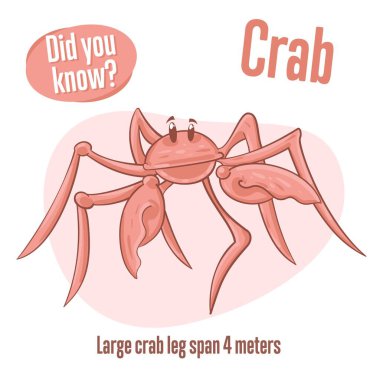 Yengeç hakkında ilginç bilgiler. Biliyor muydun?? 