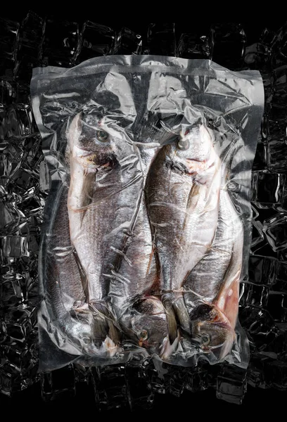 Vacuum-packed fish, on dark ice background, dorada. Semifinished.Top view.