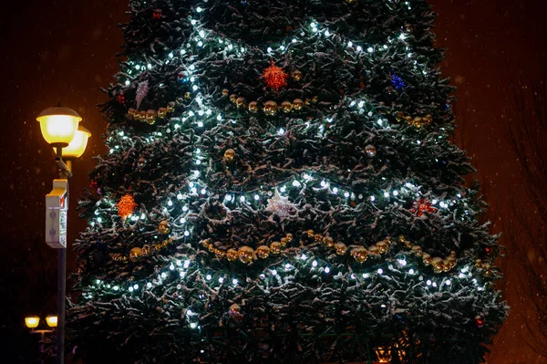 在城市广场上的一棵巨大的圣诞树 冬天的照明和装饰 — 图库照片