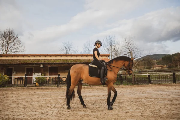 Kobieta Jeździec Koniu Szkole Jazdy Konnej — Zdjęcie stockowe