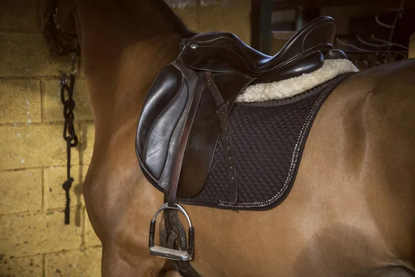 Detalle Silla Montar Caballo Marrón Atado Establo Amarillo — Foto de Stock