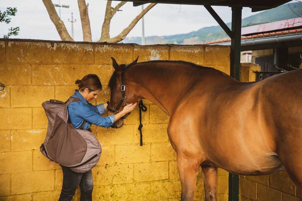 Kobieta Siodłem Głaszcząca Brązowego Konia Stajni — Zdjęcie stockowe