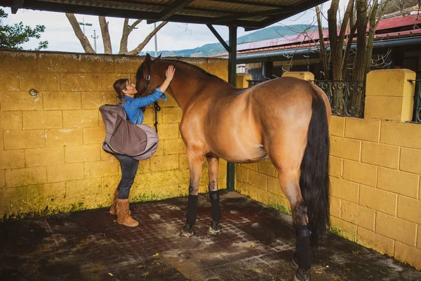 Woman Saddle Stroking Her Brown Horse Stable — Stock Photo, Image