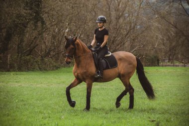 Kahverengi atıyla siyah giyinmiş kadın binici ağaçlarla dolu yeşil bir çayırda at sürüyor.