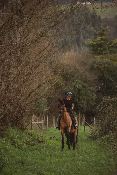 Female Rider Dressed Black Black Helmet Riding Her Brown Horse — Stock Photo, Image