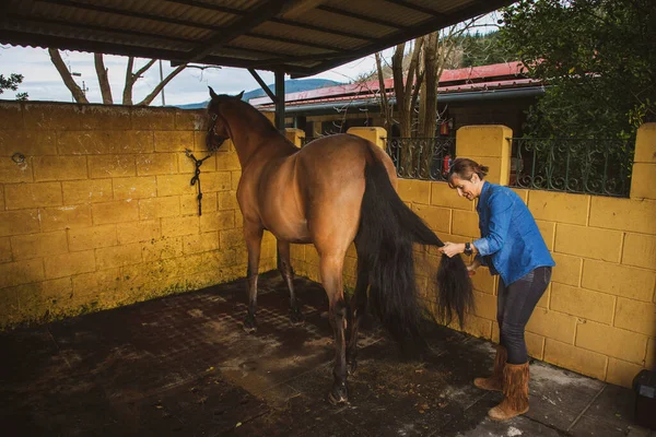 Cowgirl Cleaning Combing Her Brown Horse Stable — Stock Photo, Image