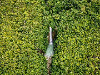 İnsansız hava aracı perspektifi, yüksek bir şelalenin, yoğun orman bitkilerinin arasında turkuaz bir havuza dökülüşünü, izolasyon ve doğal güzellik hissini aktarıyor.