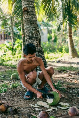 Toprakta çalışan tişörtsüz gençler kırsal alanda geleneksel aletlerle hindistan cevizi kesiyor..