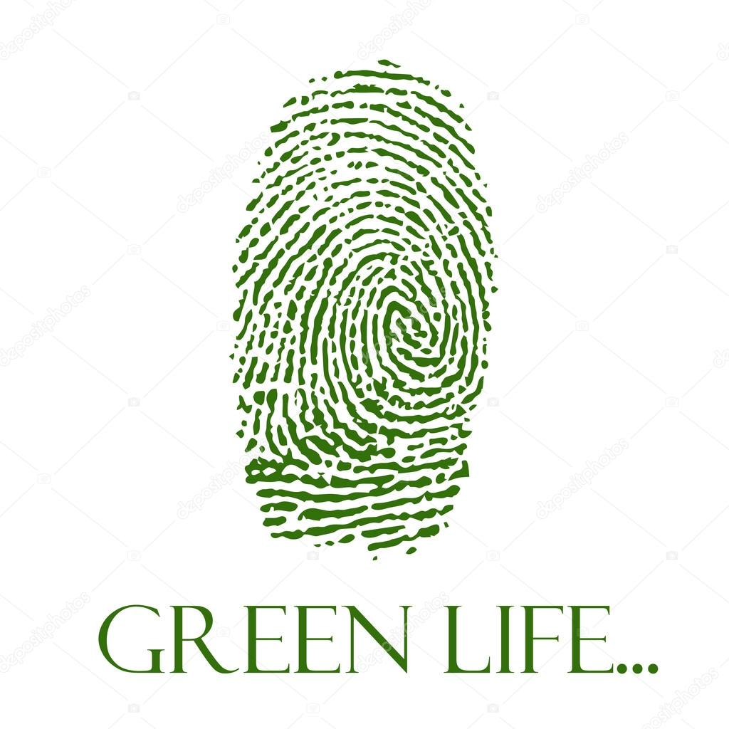Vector green isolated fingerprint on white background