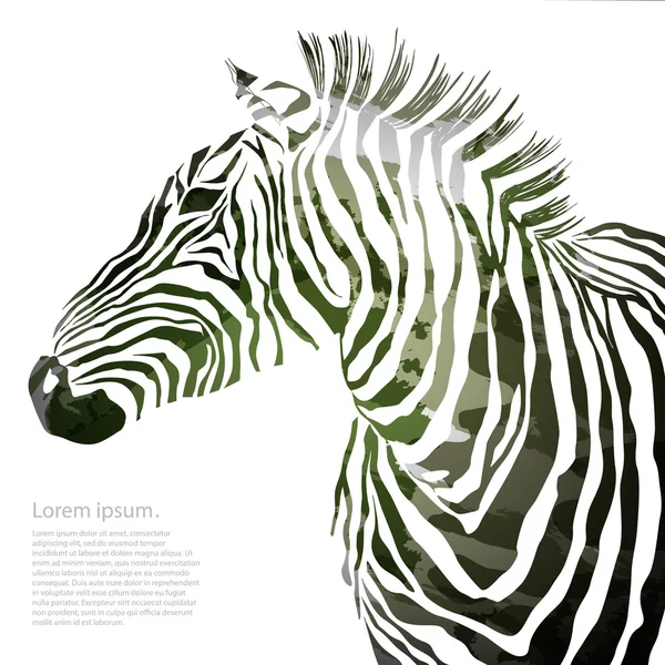 Ilustracja z wojskowych zebra sylwetka. — Zdjęcie stockowe