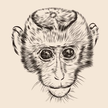 Maymun surat çizin. Elle çizilmiş doodle.