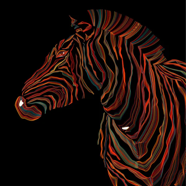 Ilustrasi binatang dari siluet zebra . - Stok Vektor