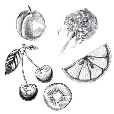 Son derece detaylı elle çizilmiş meyve toplama kümesi. Vektör