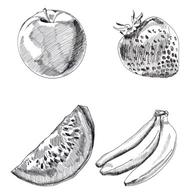 Son derece detaylı elle çizilmiş meyve toplama kümesi. Vektör