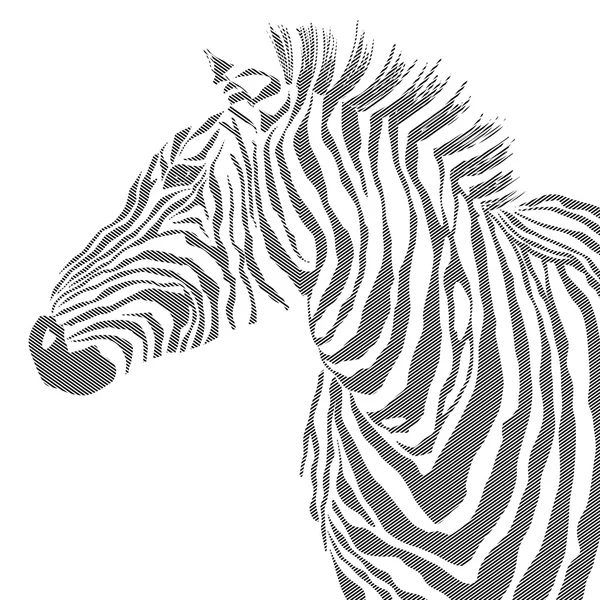 Animal illustration of vector black zebra striped silhouette. EPS — Stock Vector