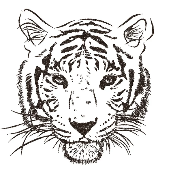 Tigre de obra de arte original con rayas oscuras, aislado sobre fondo blanco, y versión en color sepia, delinear la ilustración de lunares. Vector — Archivo Imágenes Vectoriales