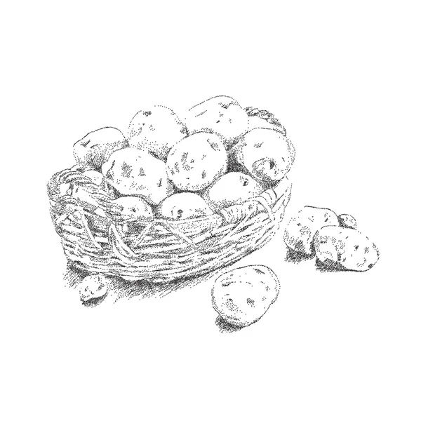 Vector dots stipple potatoes in a basket. — Stock Vector