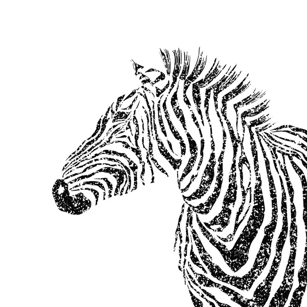 Abstrakte Vektorzebra-Silhouette mit Grunge-Textur. — Stockvektor