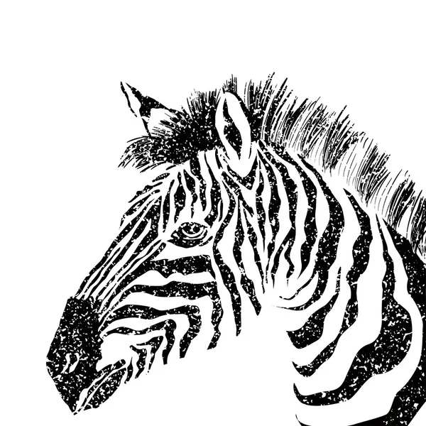 Silhueta de zebra vetorial abstrata com textura grunge . — Vetor de Stock