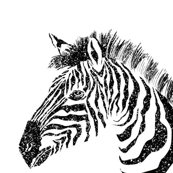 Abstrakte Vektorzebra-Silhouette mit Grunge-Textur. — Stockvektor