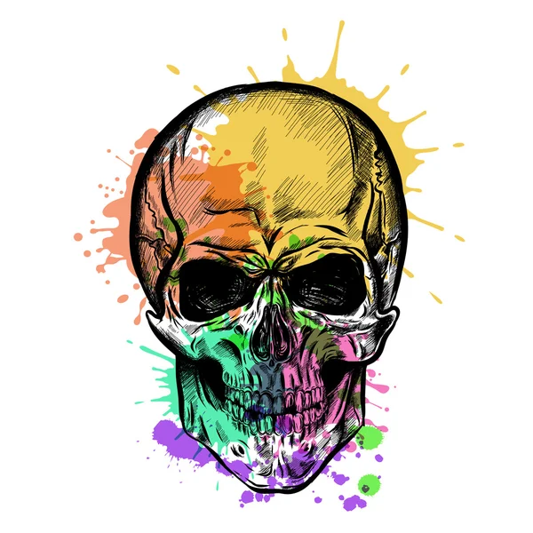 Skull Sketch With Watercolor Effect (en inglés). Vector — Archivo Imágenes Vectoriales