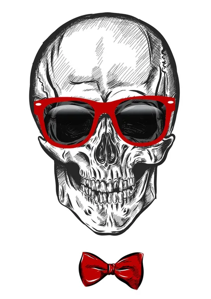 Cranio anatomico disegnato a mano con diversi toni e occhiali da sole. Vettore — Vettoriale Stock