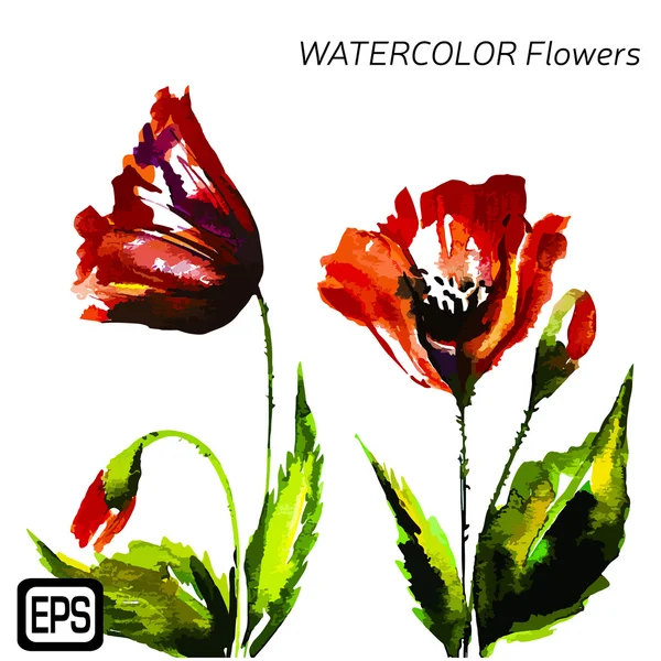 Multicolor Watercolor Vector Flowers — Stock Vector