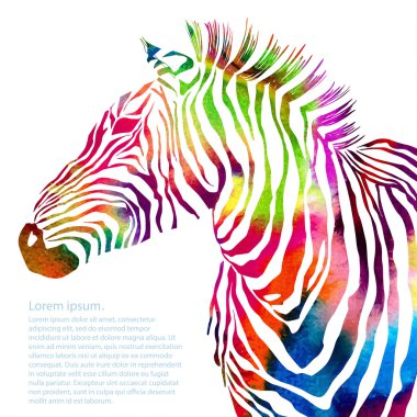 Suluboya zebra silueti hayvan illüstrasyon