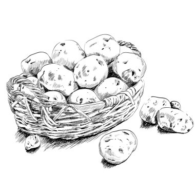 Beyaz bsckground üzerinde bir sepet içinde patates krokisi.