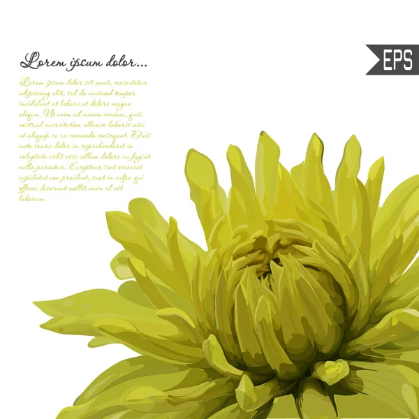 Blommig inbjudningskort med vackra vårblommor och banner stil. Perfekt för bröllop, hälsning design. — Stock vektor