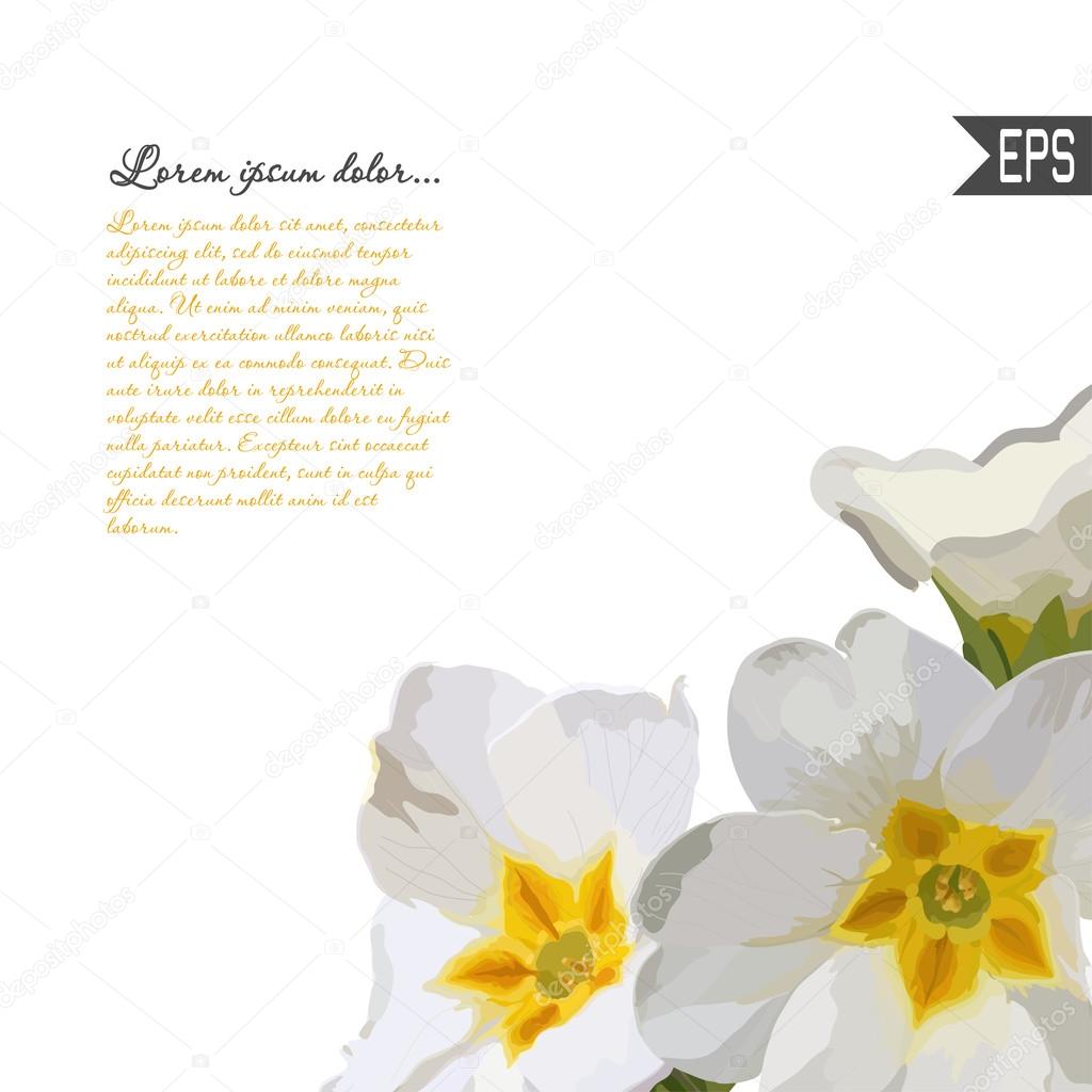Floral invitation card with beautiful spring flower and banner style. Perfect for wedding, greeting design.
