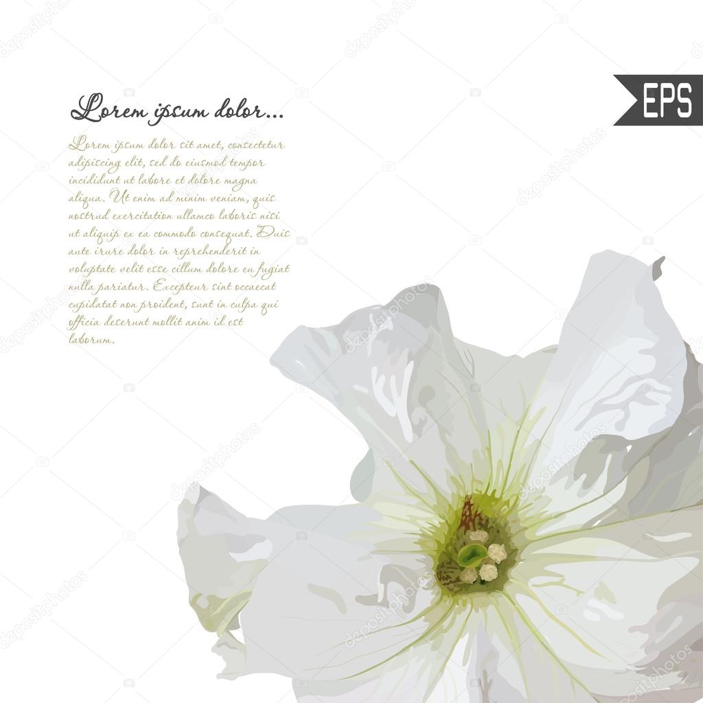 Floral invitation card with beautiful spring flower and banner style. Perfect for wedding, greeting design.