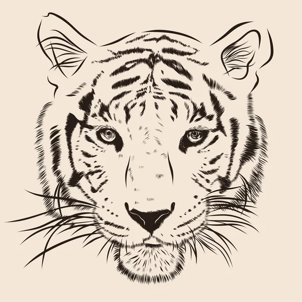 Original artwork tiger with dark stripes, isolated on white background, and sepia color version, vector llustration — Stock Vector