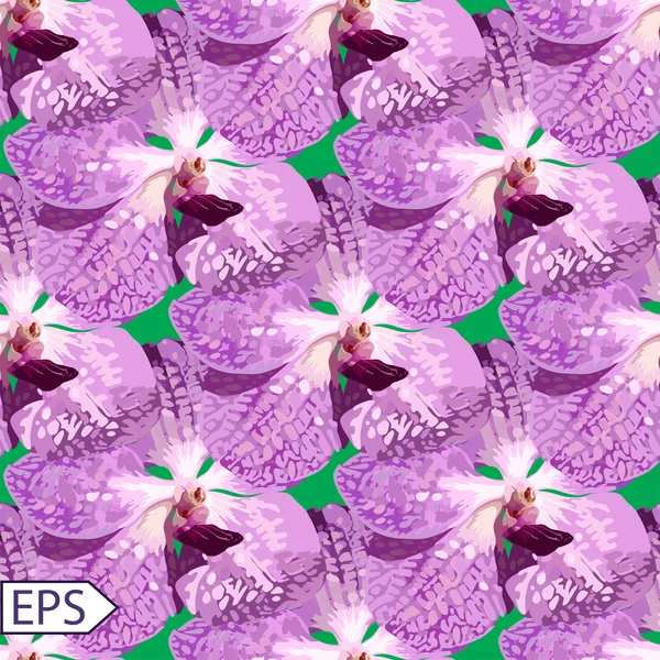 Violet orchidée motif vectoriel sans couture avec fond vert . — Image vectorielle