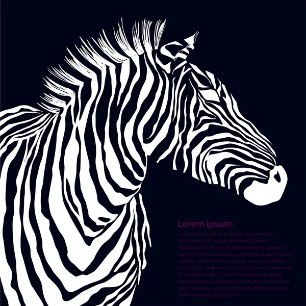 Hayvan beyaz illüstrasyon siluet zebra. Vektör — Stok Vektör