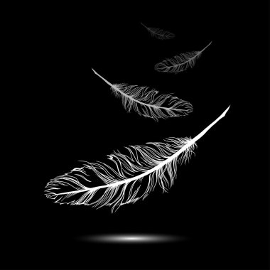 flying feathers with black background. EPS 10. Vector