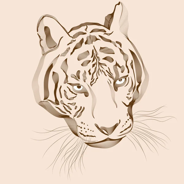 Tigre de obra de arte original con rayas oscuras, aislado sobre fondo blanco, y versión en color sepia, ilustración vectorial. EPS — Vector de stock