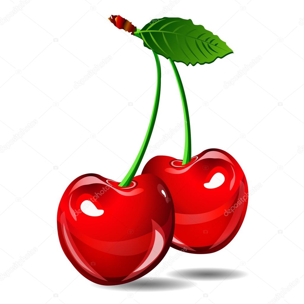 Cherry vector berry isolate on white background