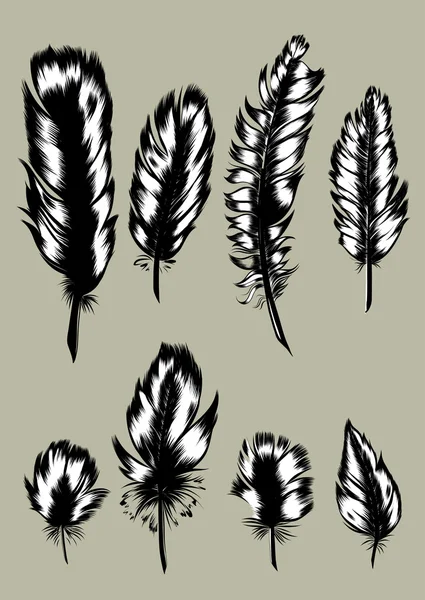 Set de vectores Vintage Feather. Ilustración dibujada a mano . — Archivo Imágenes Vectoriales