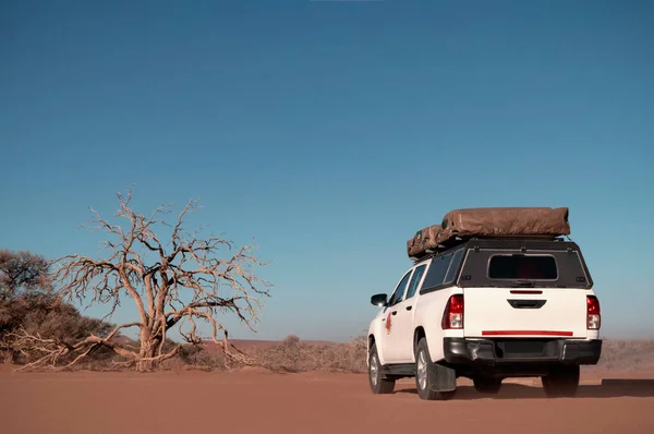 Toyota Hilux Dresse Dans Sable Doré Désert Namibien 2021 Namibie — Photo