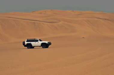 Namib Çölü 'nde altın kum tepeciklerini aşan beyaz 4x4 SUV' un gerçek fotoğrafı. Hareketli bir off-road aracı, dramatik bir çöl zeminine doğru parlak güneş ışığında yakalandı.