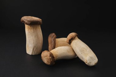 Siyah arka planda izole edilmiş taze kral istiridye mantarları. Sağlıklı yemek, vejetaryen tarifleri ve gurme mutfağı için doğal bitki bazlı malzeme.