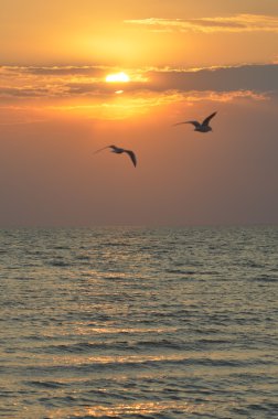 Denizde gün batımı