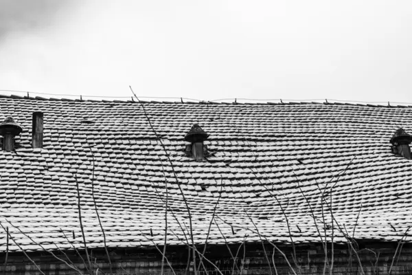 凹状の屋根 — ストック写真
