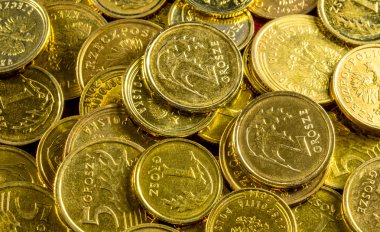 En iyi Polonya para birimi