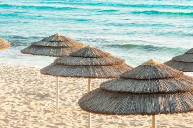 Şemsiyeleri sahilde