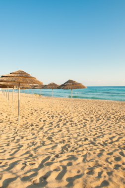 Şemsiyeleri sahilde