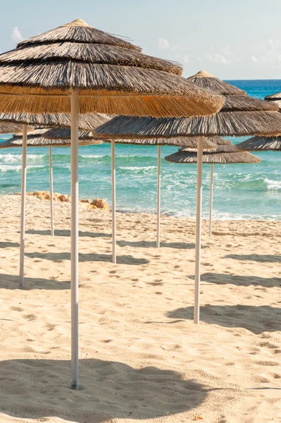 Şemsiyeleri sahilde — Stok fotoğraf