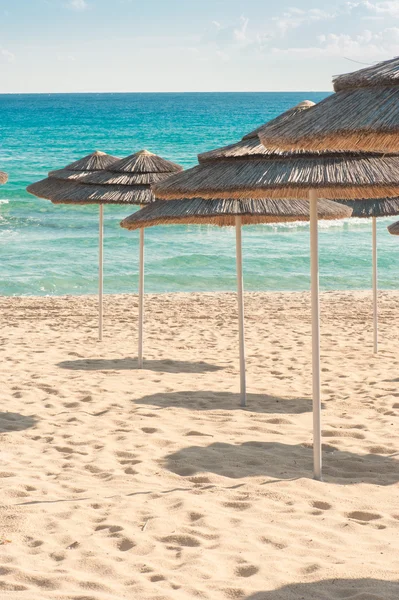 Şemsiyeleri sahilde