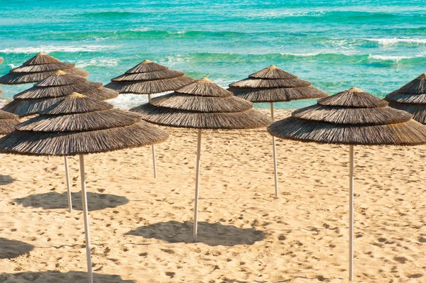 Şemsiyeleri sahilde — Stok fotoğraf